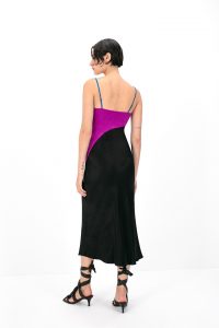 Sirius Dress image 2