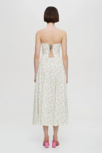 Endless Valley Dress image 1