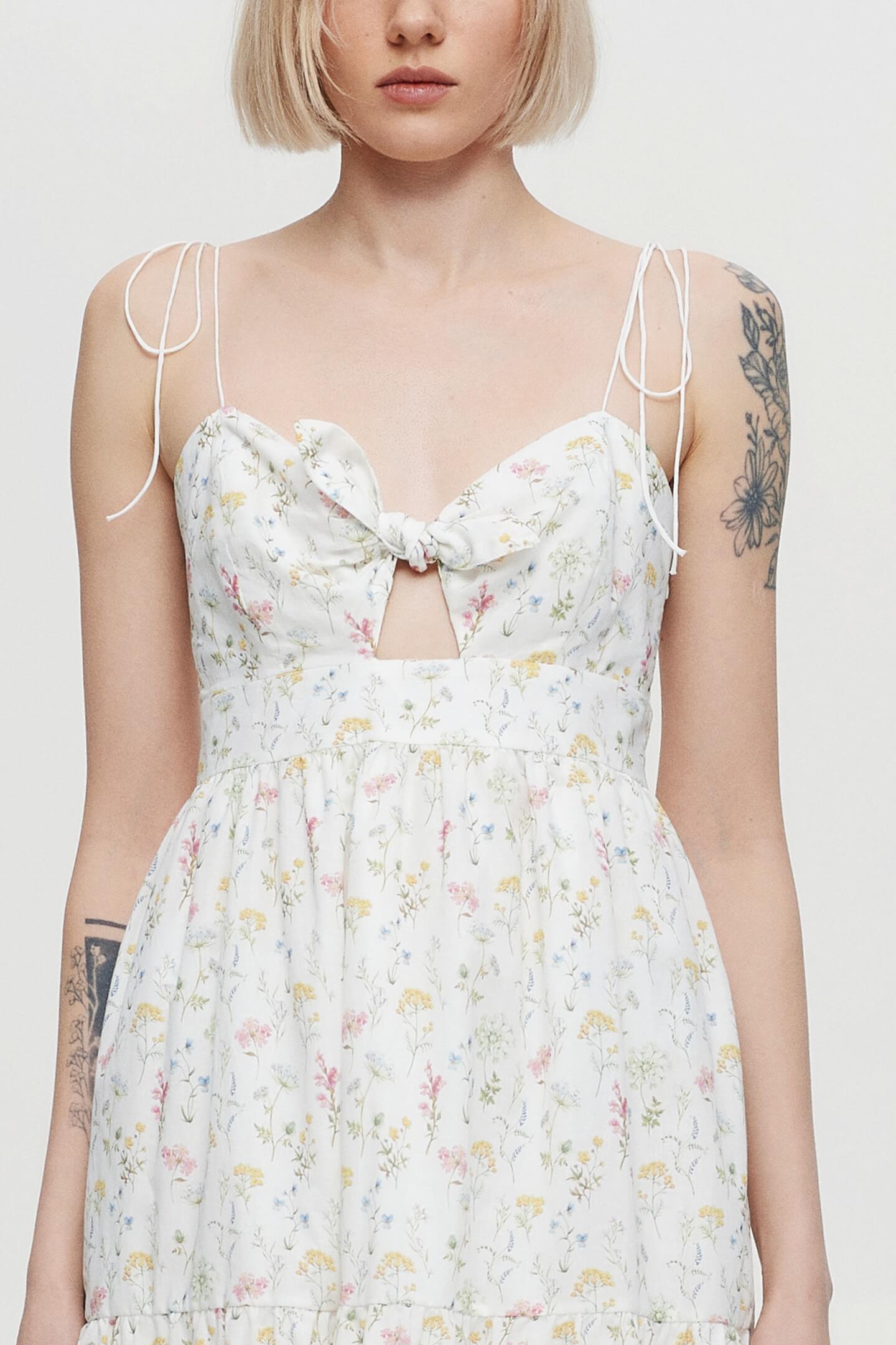 Meadow Whisper Dress image 1